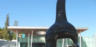 バンクーバー水族館が3カ月ぶりにオープン! Vancouver Aquarium, Vancouver, BC