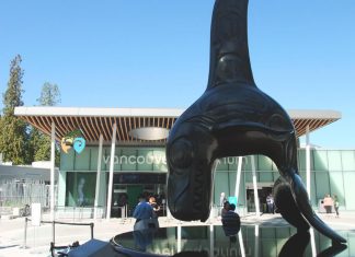 待望のバンクーバー水族館再開は8/16から Vancouver Aquarium, Vancouver, BC