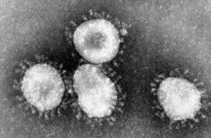 オミクロン株から派生したXBB.1.5、BC州で12件 Coronaviruses