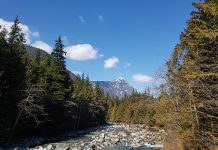 BCパークスのキャンプ場の予約は3月8日から Photo by Keiko Nishikawa