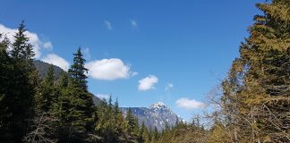 BCパークスのキャンプ場の予約は3月8日から Photo by Keiko Nishikawa