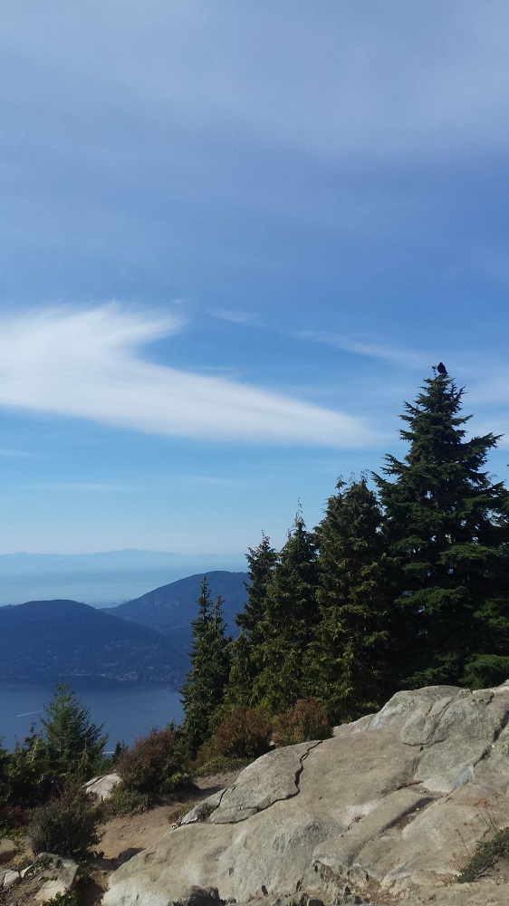 Eagle Bluffs lookout。 Photo by Keiko Nishikawa