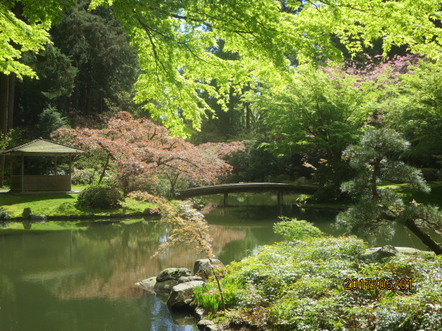 四季折々の情緒が楽しめる新渡戸庭園