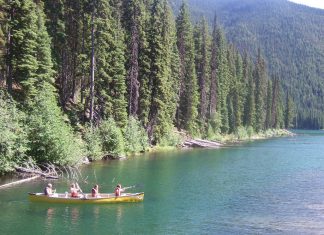 森と湖の楽園、マニングパーク Photo by Keiko Nishikawa