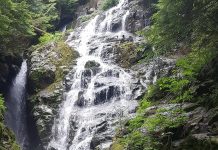 ノースバンクーバーのパワースポットで癒される 水音が涼し気なノースバンクーバーのKennedy Falls Photo by Keiko Nishikawa