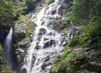 ノースバンクーバーのパワースポットで癒される 水音が涼し気なノースバンクーバーのKennedy Falls Photo by Keiko Nishikawa