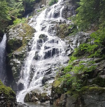 ノースバンクーバーのパワースポットで癒される 水音が涼し気なノースバンクーバーのKennedy Falls Photo by Keiko Nishikawa