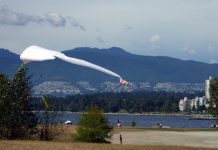 バンクーバー公園庁が飲酒を許可、早ければ8月中旬にも Vanier Park, Kitsilano, Vancouver, British Columbia; File photo © Japan Canada Today