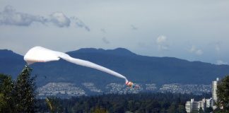 バンクーバー公園庁が飲酒を許可、早ければ8月中旬にも Vanier Park, Kitsilano, Vancouver, British Columbia; File photo © Japan Canada Today