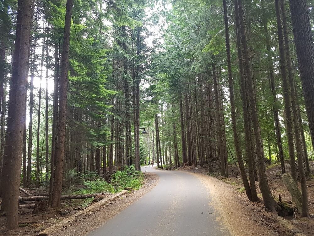 ウィスラーのバレートレイル(Valley Trail )。Photo by Keiko Nishikawa