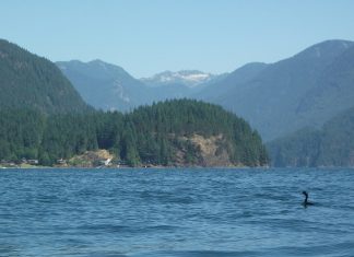 波が比較的穏やかなディープコーブでカヤックを楽しむ バンクーバーでウォータースポーツ。カヤックだと視線が水面に近くなるのが楽しい。Photo by Keiko Nishikawa