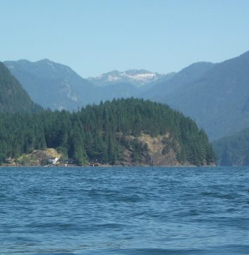 波が比較的穏やかなディープコーブでカヤックを楽しむ バンクーバーでウォータースポーツ。カヤックだと視線が水面に近くなるのが楽しい。Photo by Keiko Nishikawa