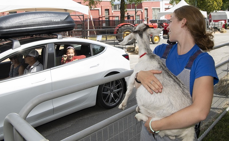 ドライブスルーで動物とも触れ合う機会あり　Photo © Pacific National Exhibition