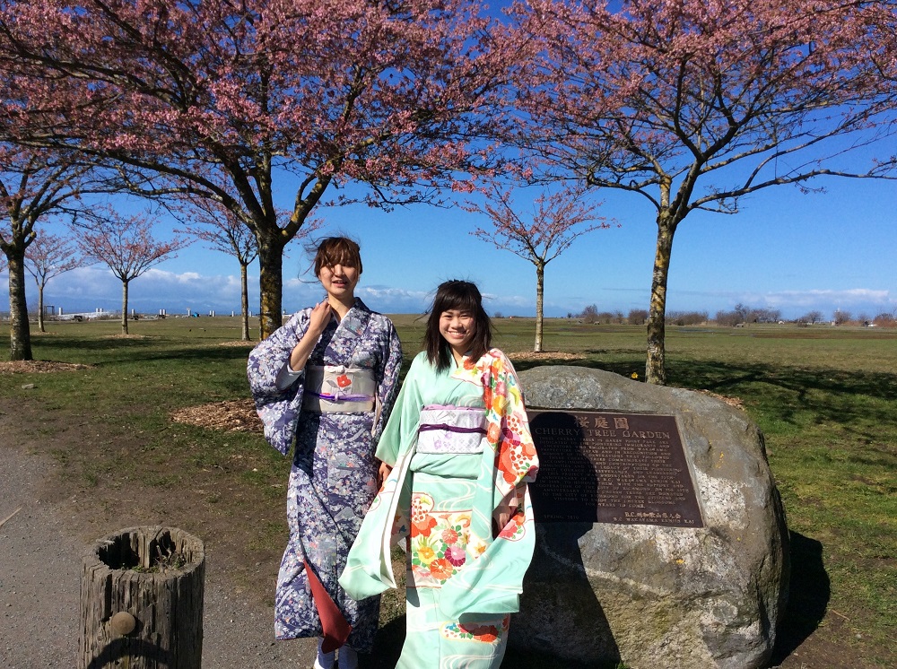 ギャリーポイントパークでのスティーブストン桜祭りで着物を着て記念撮影　Photo ©スティーブストン日本語学校