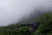 トロントからのハイカー、無事救助 ノースショアのHanes Valley Photo © the Vancouver Shinpo