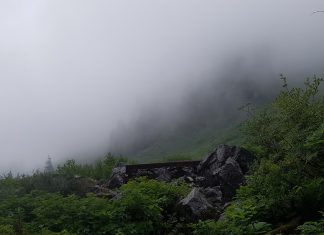 トロントからのハイカー、無事救助 ノースショアのHanes Valley Photo © the Vancouver Shinpo