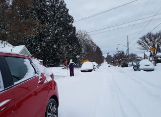 冬用タイヤの準備は? 冬の運転に備えよう 珍しくてもメトロバンクーバーで大雪が降ることもある。Photo © the Vancouver Shinpo