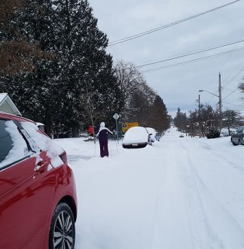 冬用タイヤの準備は? 冬の運転に備えよう 珍しくてもメトロバンクーバーで大雪が降ることもある。Photo © the Vancouver Shinpo