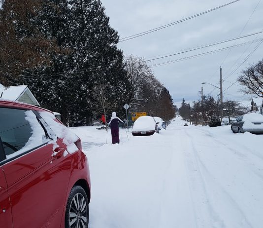 冬用タイヤの準備は? 冬の運転に備えよう 珍しくてもメトロバンクーバーで大雪が降ることもある。Photo © the Vancouver Shinpo