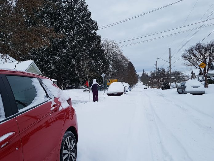 珍しくてもメトロバンクーバーで大雪が降ることもある。Photo © the Vancouver Shinpo