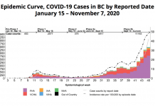 BC州新型コロナ感染者、データ修正でさらに増加 5 2020 11-12 Monthly Update Nov 2020