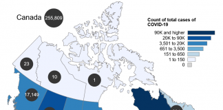 ヌナブト準州で初の新型コロナ感染者、全国では3,600人 Canada COVID-19 November 6, 2020 by Government of Canada