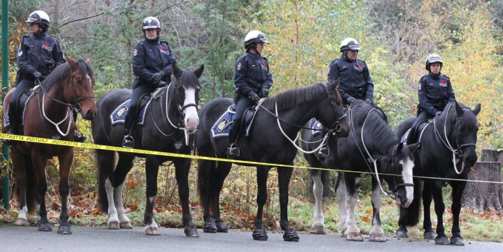 RCMP Mounted Squad, on November 11, 2020. Photo by ©︎Toru Furukawa/ The Vancouver Shinpo