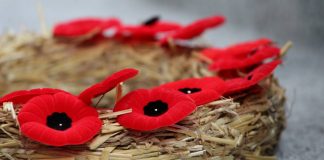 Commemorating Japanese Canadian veterans and praying for peace ~Remembrance Day 2021 Remembrance Day-18, Nov 11, 2020