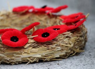 戦没者を悼み平和を願う、リメンバランスデー2021 Remembrance Day-18, Nov 11, 2020