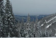 ビッグホワイトスキー場で60人感染(更新) ビッグホワイトスキー場 Photo by Keiko Nishikawa