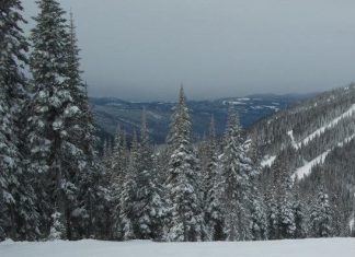 ビッグホワイトスキー場で60人感染(更新) ビッグホワイトスキー場 Photo by Keiko Nishikawa