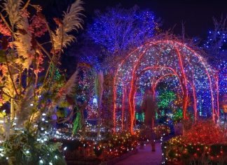 フェスティバル・オブ・ライトほかクリスマスイベントが中止に FESTIVAL OF LIGHTS Photo © VanDusen Botanical Garden