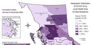 2020年のコロナ感染者累計、バンクーバー市内で8249人 2020年1月から12月の地域別感染者数。By BCCDC(BC州疫病管理センター)