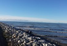 片道4キロ、海の中の一本道を歩く 海の中の一本道、アイオナ・ジェッティPhoto by Keiko Nishikawa