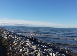 片道4キロ、海の中の一本道を歩く 海の中の一本道、アイオナ・ジェッティPhoto by Keiko Nishikawa