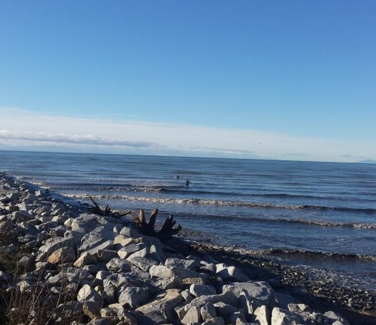 片道4キロ、海の中の一本道を歩く 海の中の一本道、アイオナ・ジェッティPhoto by Keiko Nishikawa