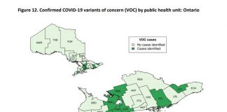 変異種抑え込めなければ、3月に爆発的なコロナ感染拡大? 現在、オンタリオ州で変異種が確認された保険局。©Weekly Epidemiologic Summary , Public Health Ontario