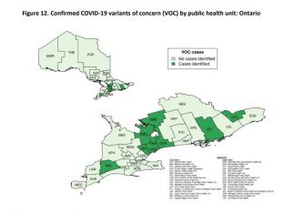 トロント空港で新型コロナ検査、連邦政府に先行して実施へ 現在、オンタリオ州で変異種が確認された保険局。©Weekly Epidemiologic Summary , Public Health Ontario