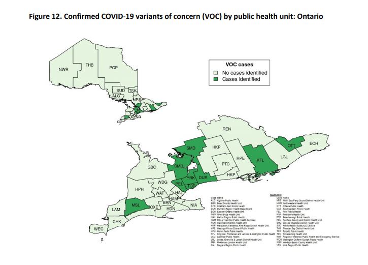 現在、オンタリオ州で変異種が確認された保険局。©Weekly Epidemiologic Summary , Public Health Ontario 