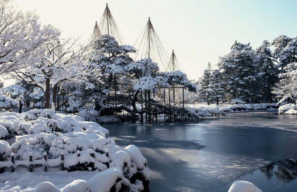 兼六園の雪吊り 　写真提供：金沢市