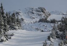 サイプレス・スキーシーズンが早くもオープン、他のスキー場もオープン間近 世界有数のスキーリゾート、ウィスラー ©野口英夫