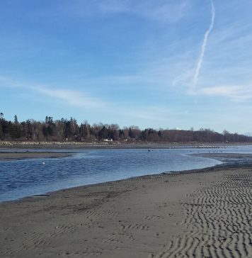 広いビーチでリラックス~ホワイトロック~ 広いビーチが広がるホワイトロックPhoto by Keiko Nishikawa