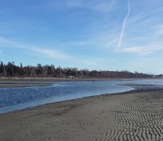 広いビーチでリラックス~ホワイトロック~ 広いビーチが広がるホワイトロックPhoto by Keiko Nishikawa