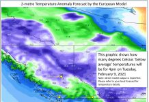 BC州、今冬一番の寒さ襲来