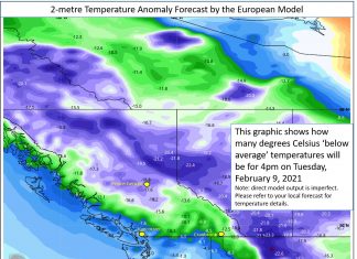 BC州、今冬一番の寒さ襲来