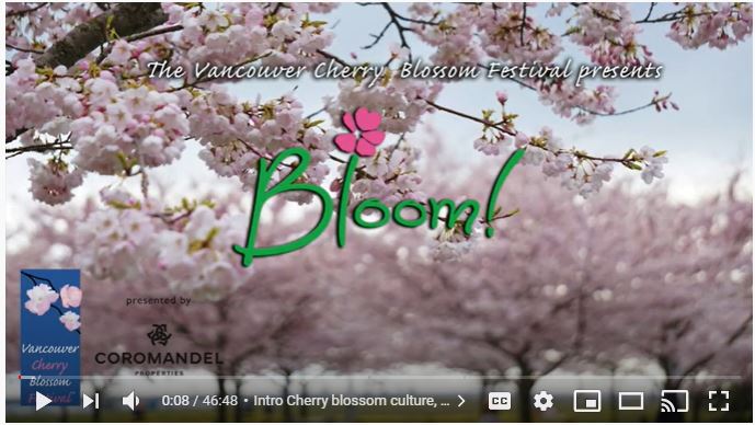 Bloom！の動画のスクリーンショット©Vancouver Cherry Blossom Festival