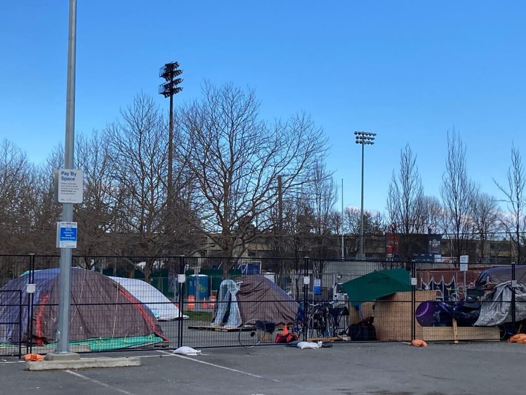 Royal Athletic Park駐車場のテント群 ©︎ Keiko Miyamatsu Saunders