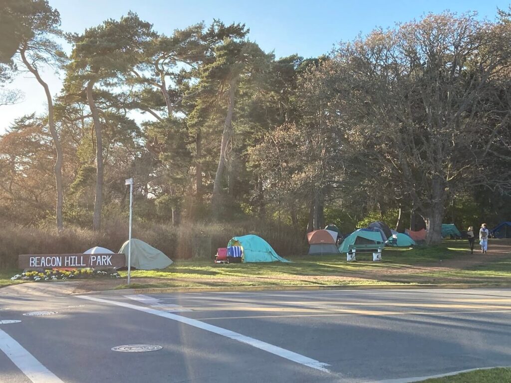 市内の憩いの公園Beacon Hill Parkに点在するテント群　©︎ Keiko Miyamatsu Saunders