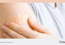 BC州での12歳以上2回目ブースター、秋以降か canada vaccine