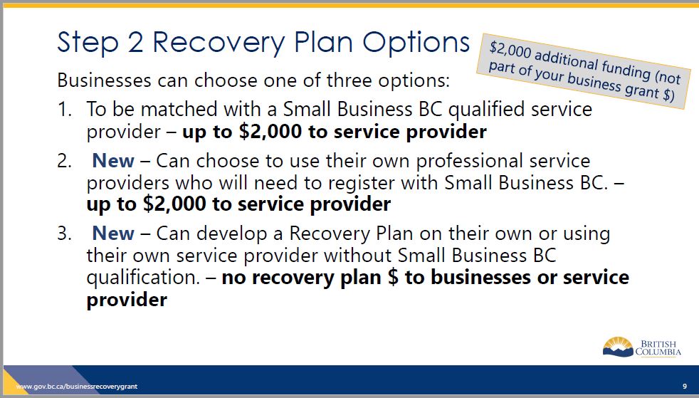 リカバリープランの作成には3つのオプションがある©Small and Medium Sized Business Recovery Grant Program